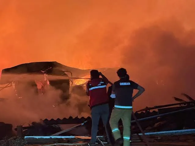 Düzce'de Ahşap Kapı Fabrikasında Yangın